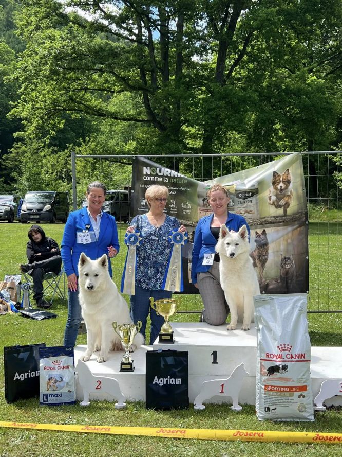 Régionale d'élevage - Stiring-Wendel - Mai 2025