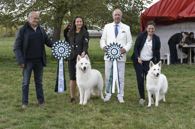 Nationale d'Elevage 2025