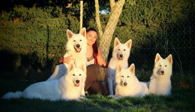 👥 Délégation 👥