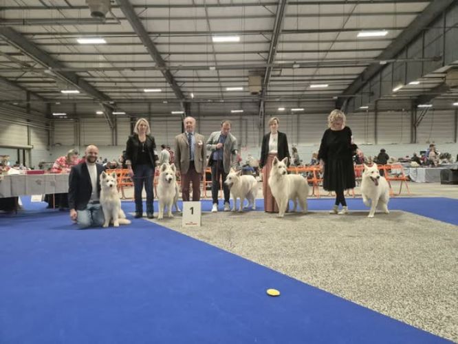 Spéciale de race ~ CACS Nantes ~ 13 Décembre 2025 