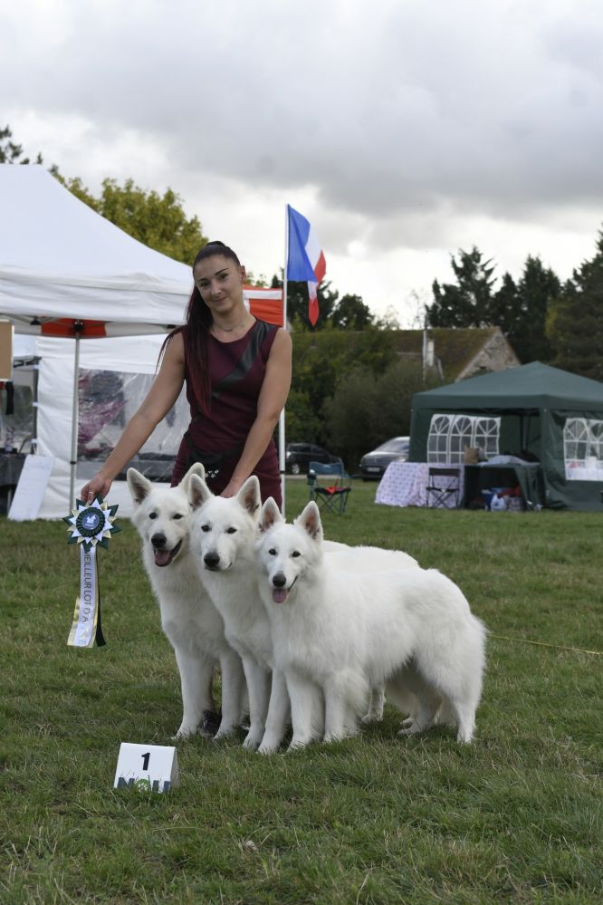 🌾🚜 Concours Général Agricole 2026 🚜🌾