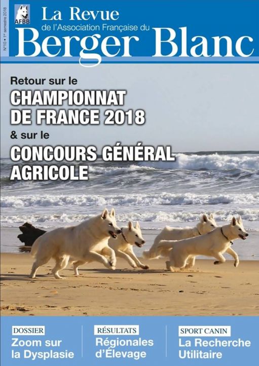 Revue du berger blanc suisse numero 10