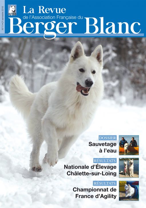 Revue du berger blanc suisse numero 11