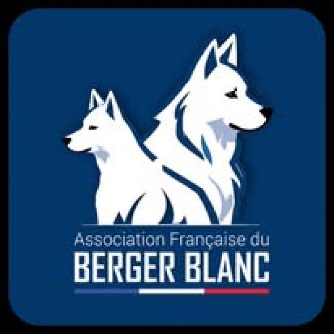 Spéciale de race ~ CACS Amiens ~ 14 Février 2026