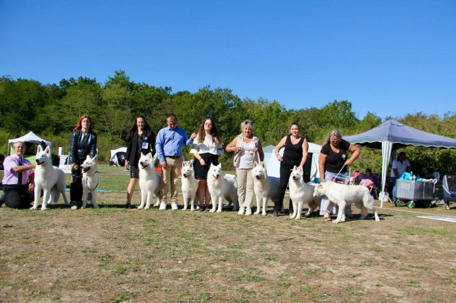 ✨ Spéciale de Race MOISSON - CACS 04/10/2026 ✨