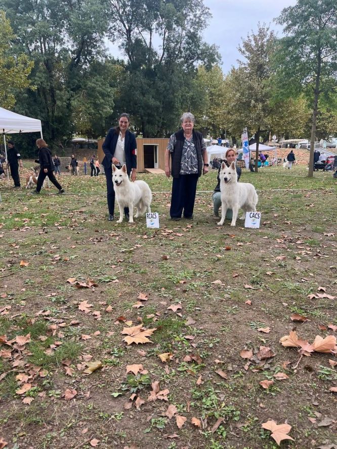 ✨ Spéciale de Race LANGON - CACS 11/10/2026 ✨